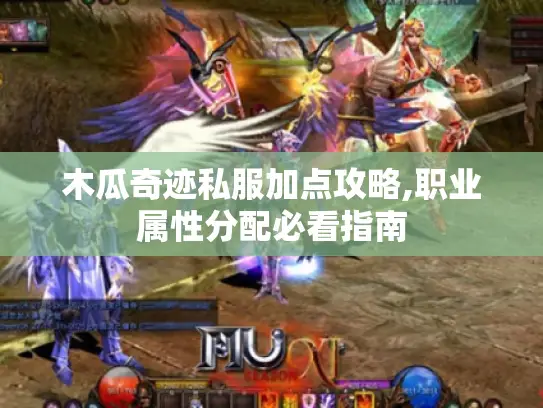 木瓜奇迹私服加点攻略,职业属性分配必看指南 木瓜奇迹私服加点攻略,职业属性分配必看指南