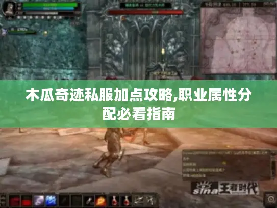 木瓜奇迹私服加点攻略,职业属性分配必看指南 木瓜奇迹私服加点攻略,职业属性分配必看指南