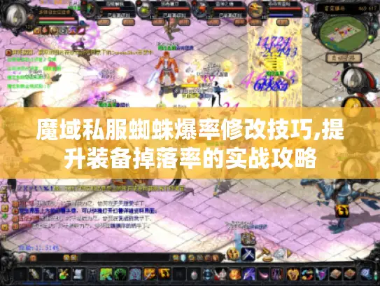魔域私服蜘蛛爆率修改技巧,提升装备掉落率的实战攻略
