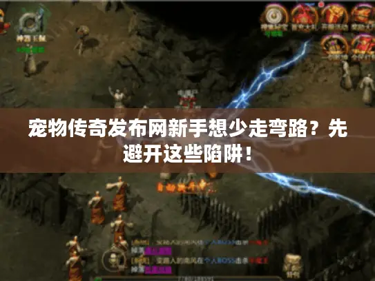 宠物传奇发布网新手想少走弯路？先避开这些陷阱！