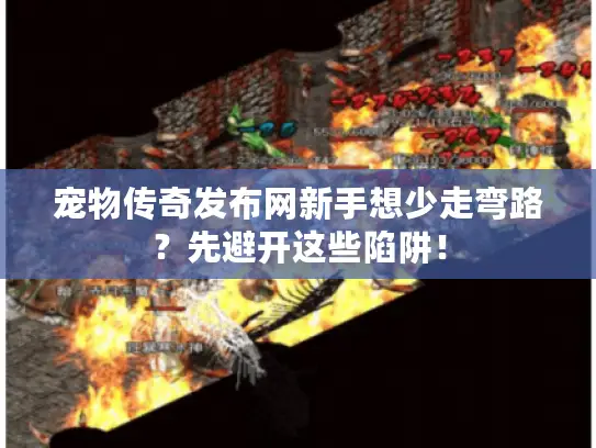 宠物传奇发布网新手想少走弯路？先避开这些陷阱！