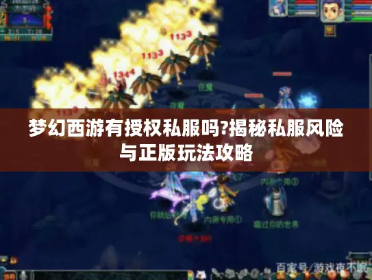 梦幻西游有授权私服吗?揭秘私服风险与正版玩法攻略 梦幻西游有授权私服吗?揭秘私服风险与正版玩法攻略