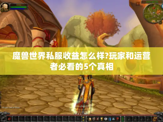 魔兽世界私服收益怎么样?玩家和运营者必看的5个真相