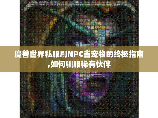 魔兽世界私服刷NPC当宠物的终极指南,如何驯服稀有伙伴