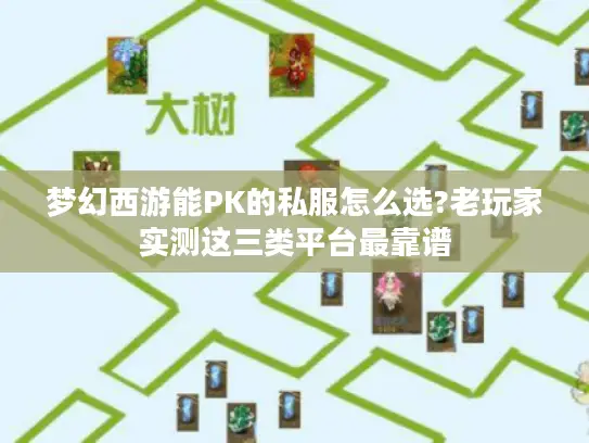 梦幻西游能PK的私服怎么选?老玩家实测这三类平台最靠谱