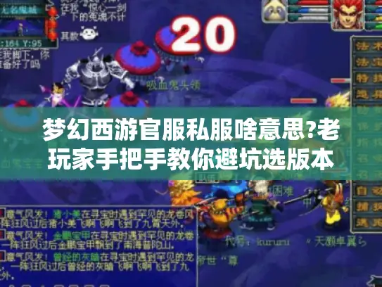 梦幻西游官服私服啥意思?老玩家手把手教你避坑选版本 梦幻西游官服私服啥意思?老玩家手把手教你避坑选版本