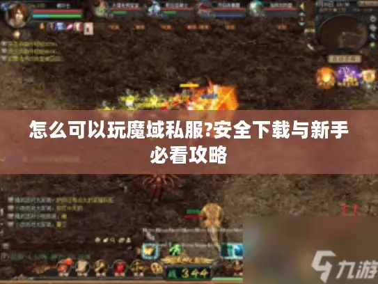 怎么可以玩魔域私服?安全下载与新手必看攻略