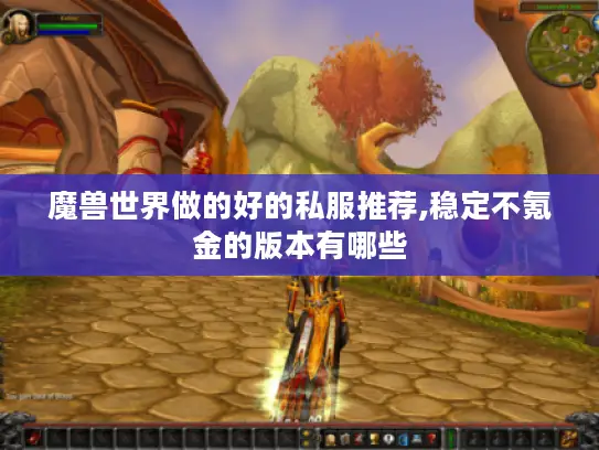 魔兽世界做的好的私服推荐,稳定不氪金的版本有哪些