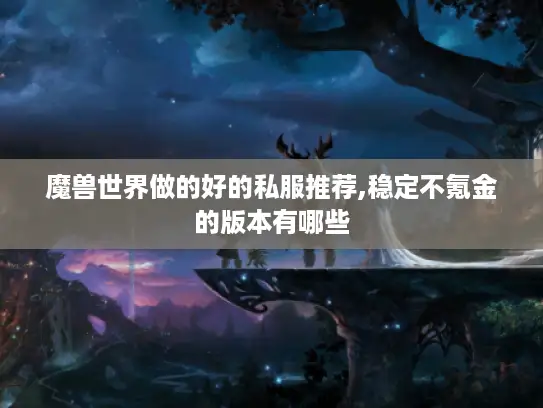 魔兽世界做的好的私服推荐,稳定不氪金的版本有哪些