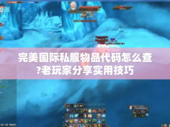 完美国际私服物品代码怎么查?老玩家分享实用技巧