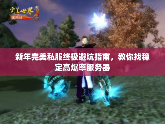 新年完美私服终极避坑指南，教你找稳定高爆率服务器