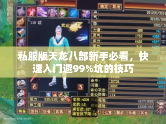 私服版天龙八部新手必看，快速入门避99%坑的技巧