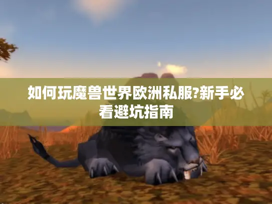 如何玩魔兽世界欧洲私服?新手必看避坑指南