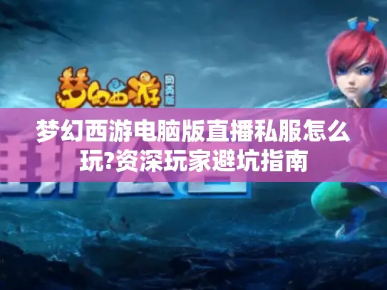 梦幻西游电脑版直播私服怎么玩?资深玩家避坑指南
