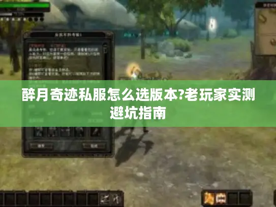 醉月奇迹私服怎么选版本?老玩家实测避坑指南