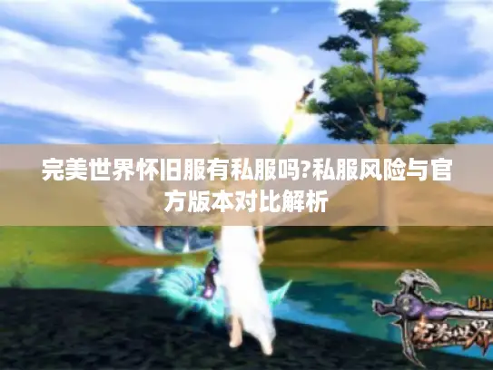 完美世界怀旧服有私服吗?私服风险与官方版本对比解析