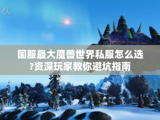 国服最大魔兽世界私服怎么选?资深玩家教你避坑指南
