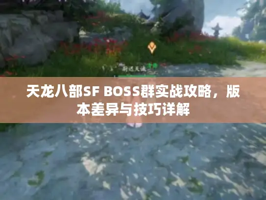 天龙八部SF BOSS群实战攻略，版本差异与技巧详解