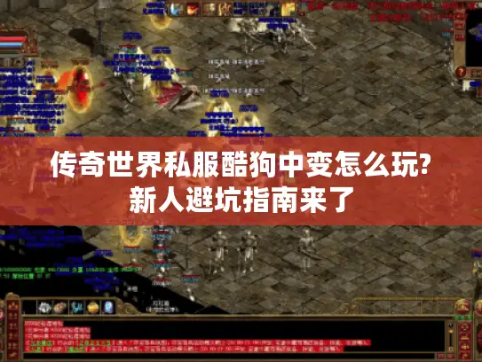 传奇世界私服酷狗中变怎么玩?新人避坑指南来了