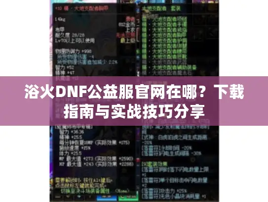 浴火DNF公益服官网在哪？下载指南与实战技巧分享