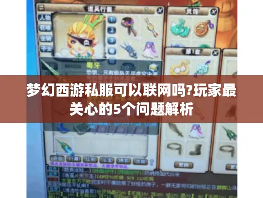 梦幻西游私服可以联网吗?玩家最关心的5个问题解析