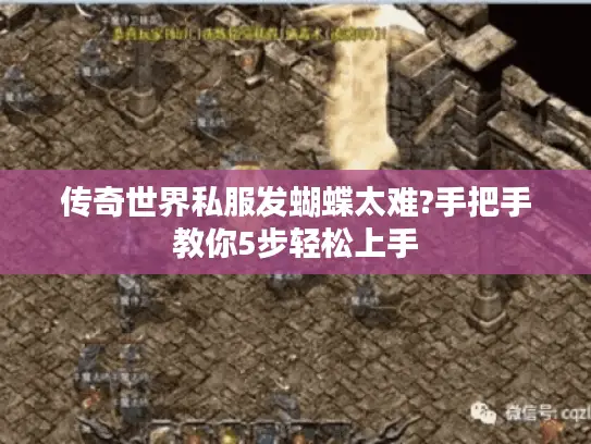 传奇世界私服发蝴蝶太难?手把手教你5步轻松上手
