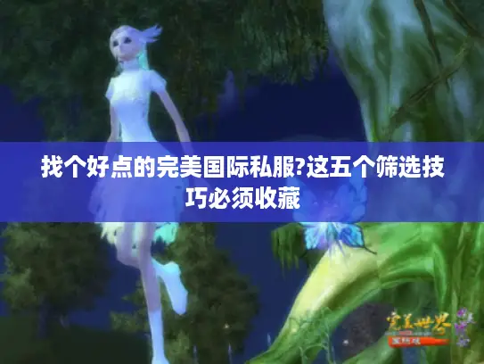 找个好点的完美国际私服?这五个筛选技巧必须收藏 找个好点的完美国际私服?这五个筛选技巧必须收藏