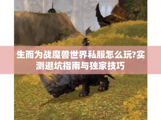 生而为战魔兽世界私服怎么玩?实测避坑指南与独家技巧