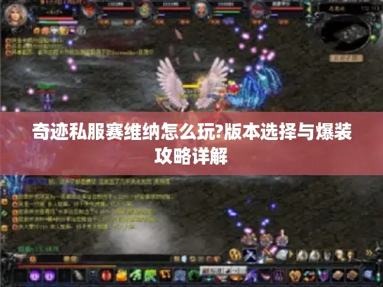 奇迹私服赛维纳怎么玩?版本选择与爆装攻略详解 奇迹私服赛维纳怎么玩?版本选择与爆装攻略详解