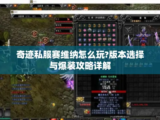 奇迹私服赛维纳怎么玩?版本选择与爆装攻略详解 奇迹私服赛维纳怎么玩?版本选择与爆装攻略详解