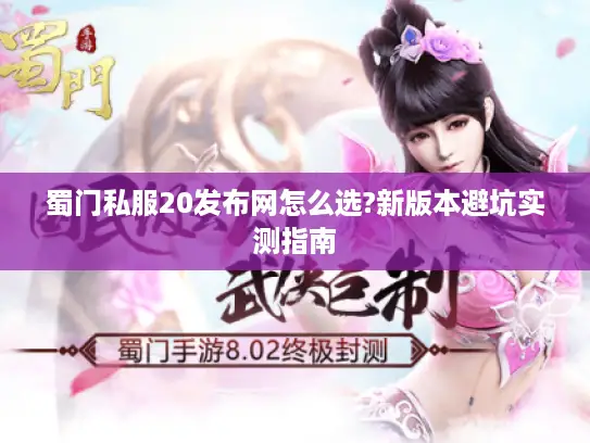 蜀门私服20发布网怎么选?新版本避坑实测指南