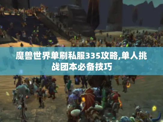 魔兽世界单刷私服335攻略,单人挑战团本必备技巧 魔兽世界单刷私服335攻略,单人挑战团本必备技巧