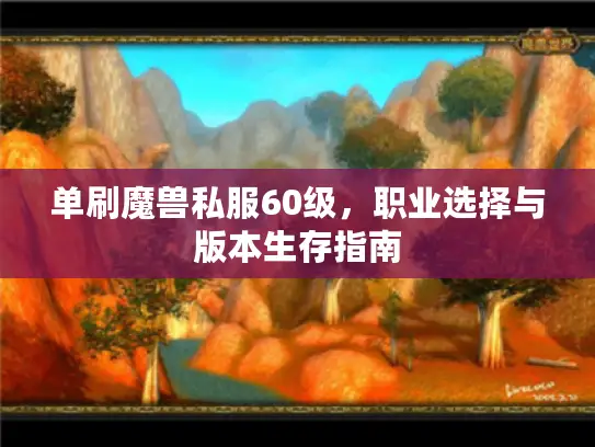 单刷魔兽私服60级，职业选择与版本生存指南