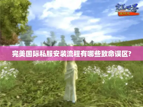 完美国际私服安装流程有哪些致命误区?