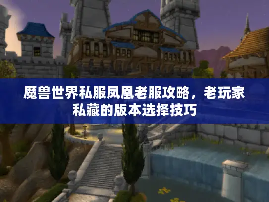 魔兽世界私服凤凰老服攻略，老玩家私藏的版本选择技巧