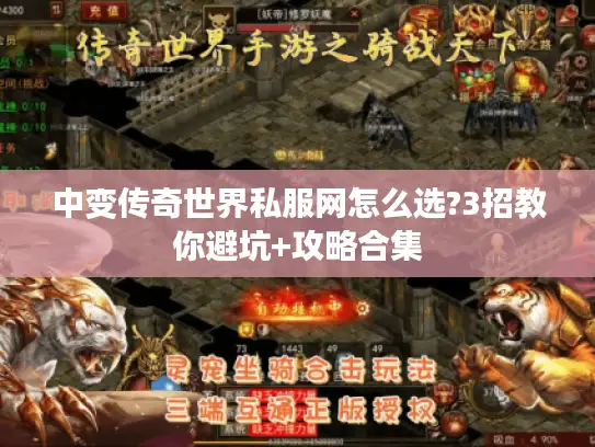中变传奇世界私服网怎么选?3招教你避坑+攻略合集