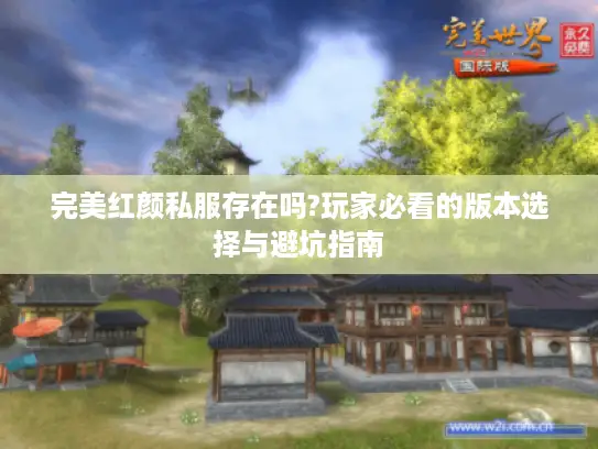 完美红颜私服存在吗?玩家必看的版本选择与避坑指南