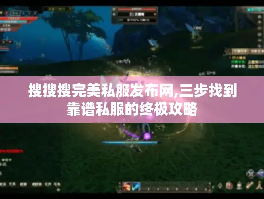 搜搜搜完美私服发布网,三步找到靠谱私服的终极攻略 搜搜搜完美私服发布网,三步找到靠谱私服的终极攻略