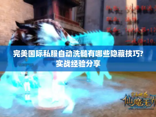 完美国际私服自动洗髓有哪些隐藏技巧?实战经验分享