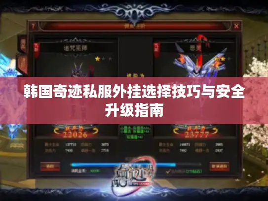 韩国奇迹私服外挂选择技巧与安全升级指南