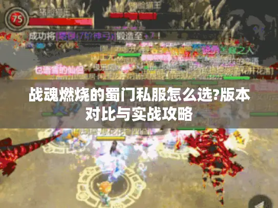 战魂燃烧的蜀门私服怎么选?版本对比与实战攻略