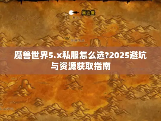 魔兽世界5.x私服怎么选?2025避坑与资源获取指南