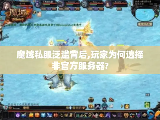 魔域私服泛滥背后,玩家为何选择非官方服务器? 魔域私服泛滥背后,玩家为何选择非官方服务器?
