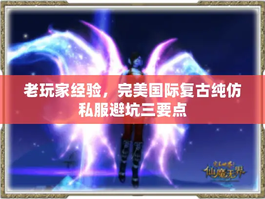老玩家经验，完美国际复古纯仿私服避坑三要点
