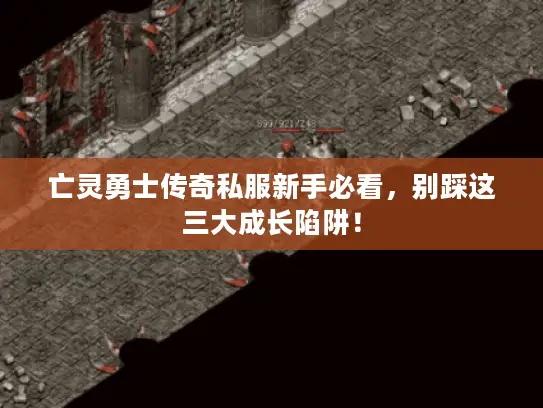 亡灵勇士传奇私服新手必看,别踩这三大成长陷阱! 亡灵勇士传奇私服新手必看,别踩这三大成长陷阱!