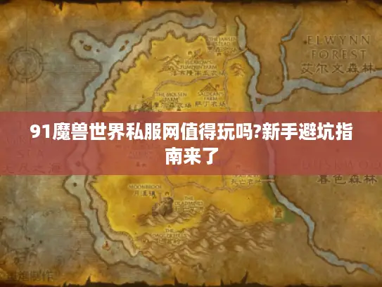 91魔兽世界私服网值得玩吗?新手避坑指南来了