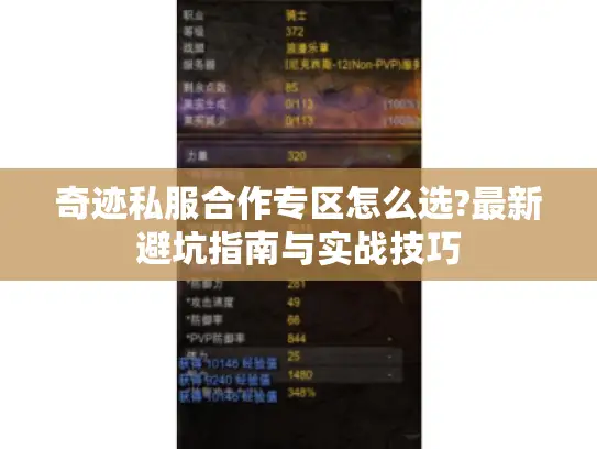 奇迹私服合作专区怎么选?最新避坑指南与实战技巧