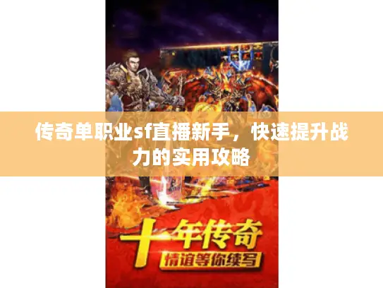 传奇单职业sf直播新手，快速提升战力的实用攻略