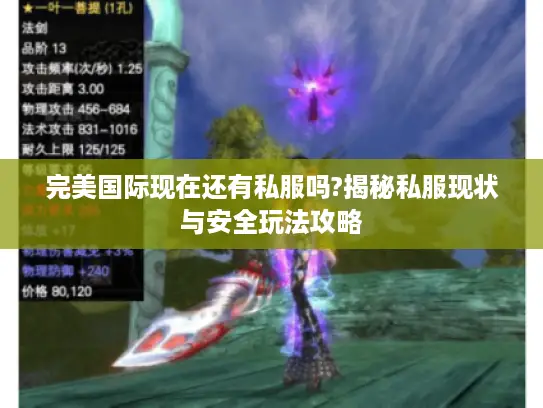完美国际现在还有私服吗?揭秘私服现状与安全玩法攻略