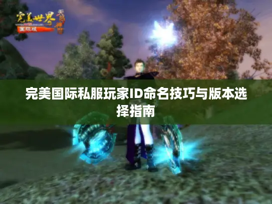 完美国际私服玩家ID命名技巧与版本选择指南